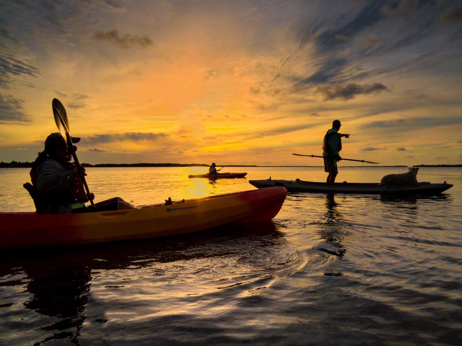 Creative Commons "Kayaking in Florida at Sunset" by U.S. Fish and Wildlife Service Southeast Region is licensed under CC BY 2.0