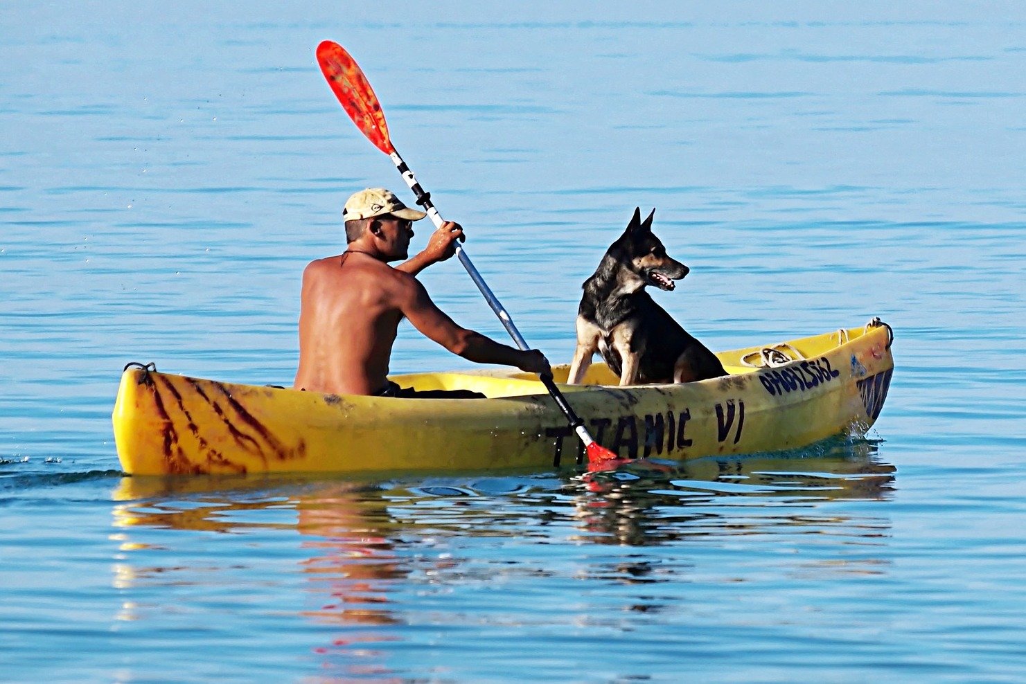 kayak with a dog